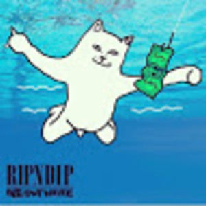 Meet your Posher, Carter